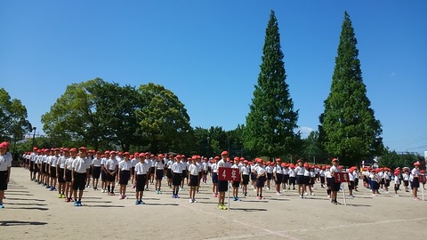 29年5月北小運動会④