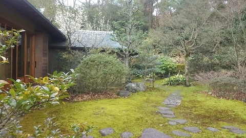 28年色金山茶会⑤
