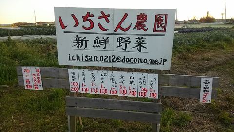 いちさん農園①