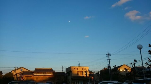31年1月17日②