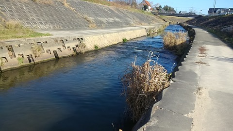 大晦日の香流川①