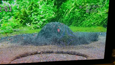 テレビ富士山⑫