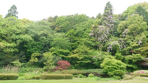令和3年4月25日⑱