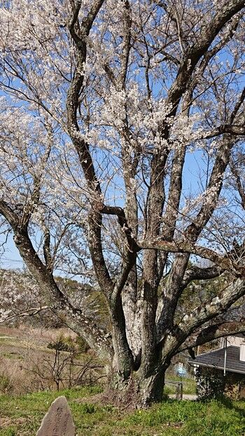 令和3年3月23日①