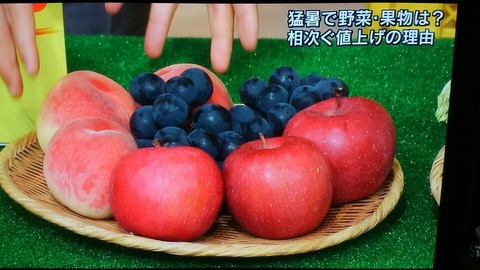 30年7月23日①