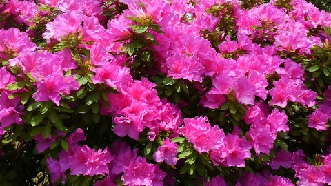 30年4月