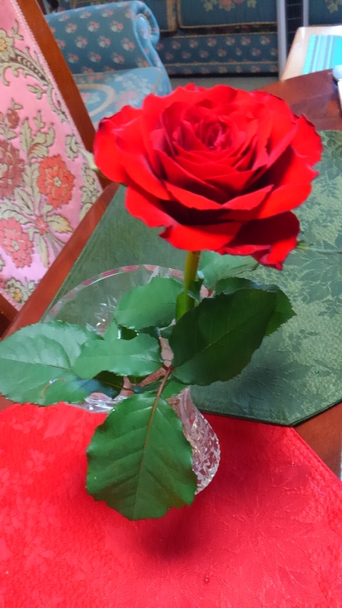 薔薇