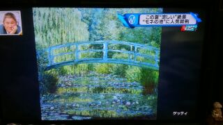 モネの池⑥