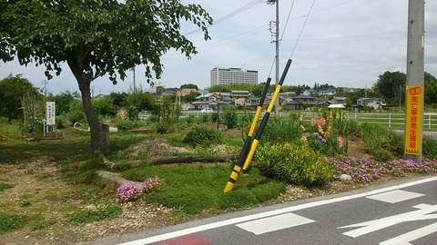 29年6月長久手市内③
