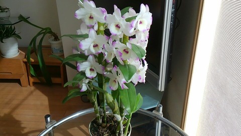 3月4日①