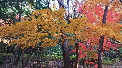 29年11月25日色金山歴史公園⑥