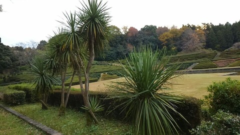 29年11月27日森林公園⑦