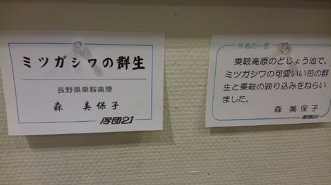 30年8月26日⑱