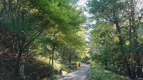 令和元年9月15日⑪