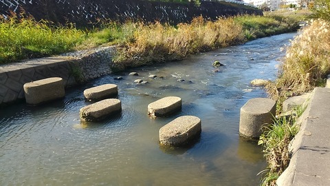 香流川②