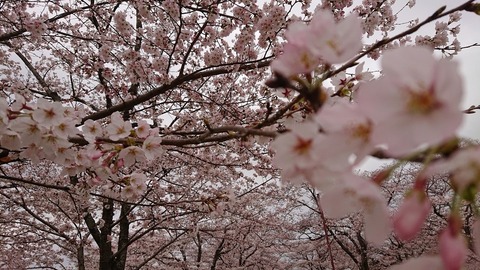 令和４年３月２９日⑭