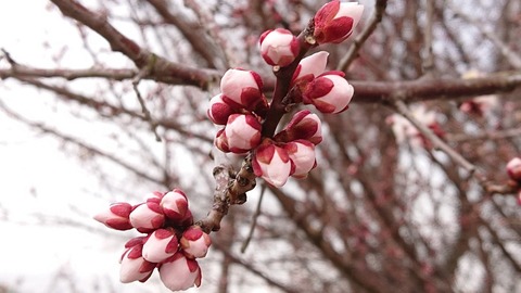 令和3年3月4日①
