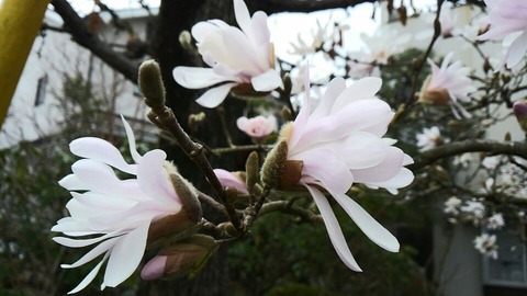 30年3月31日⑧