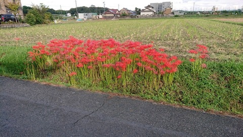 令和2年9月25日④