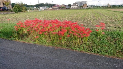 令和２年９月２５日④