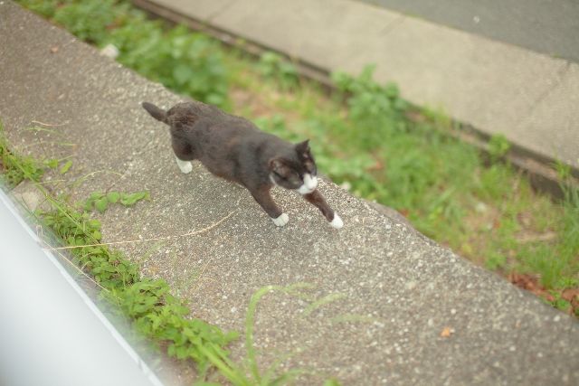 2年勤めてるバイトばっくれたらどうなる 隣のお仕事速報