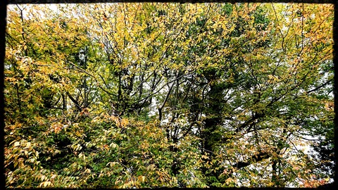 _20191127_142932