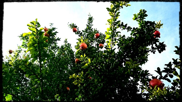 _20191006_153042