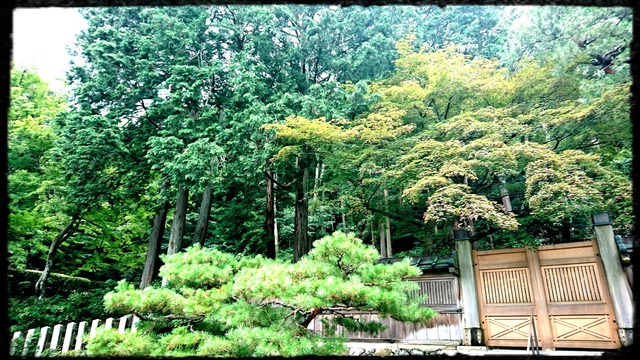 _20190703_151400