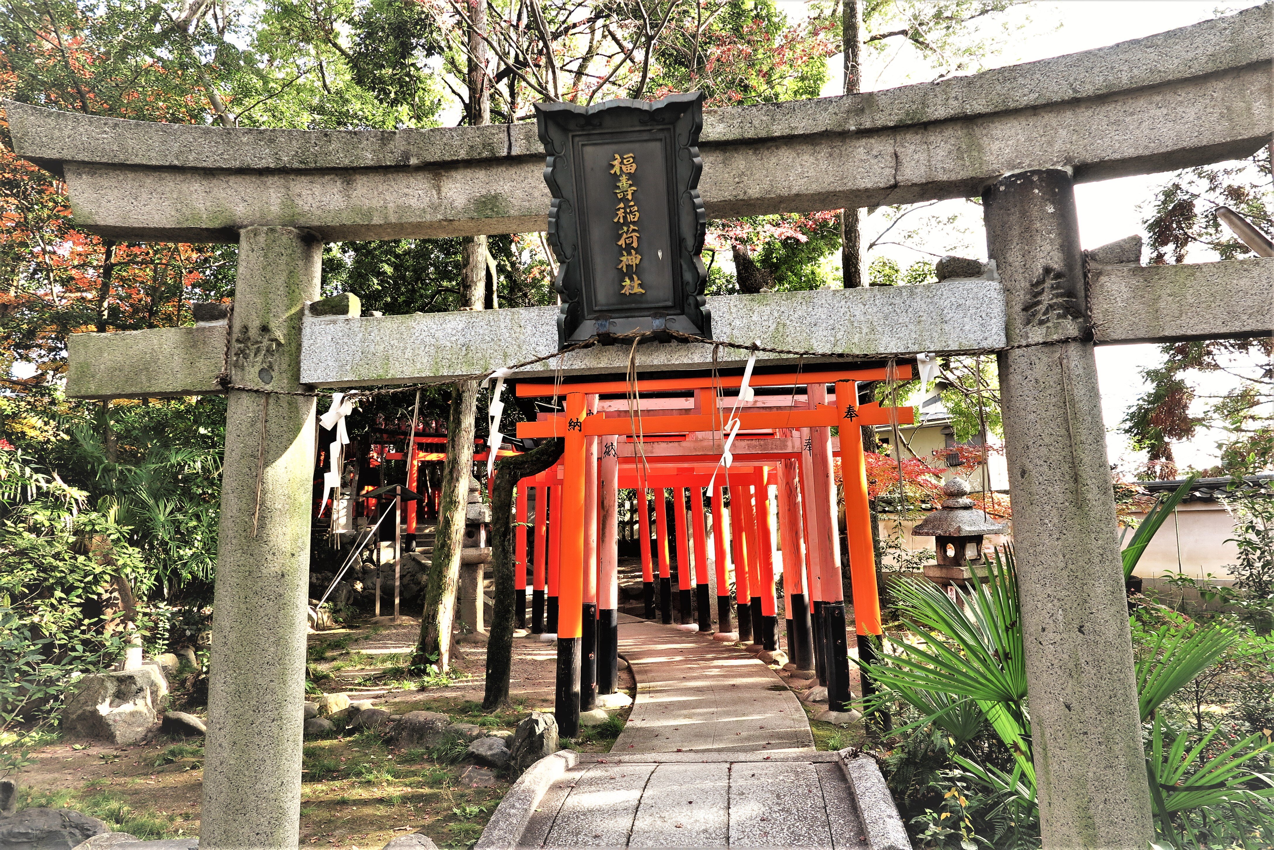 2024年10月 : 写真日々