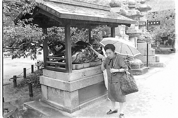 120kyoto1311190108