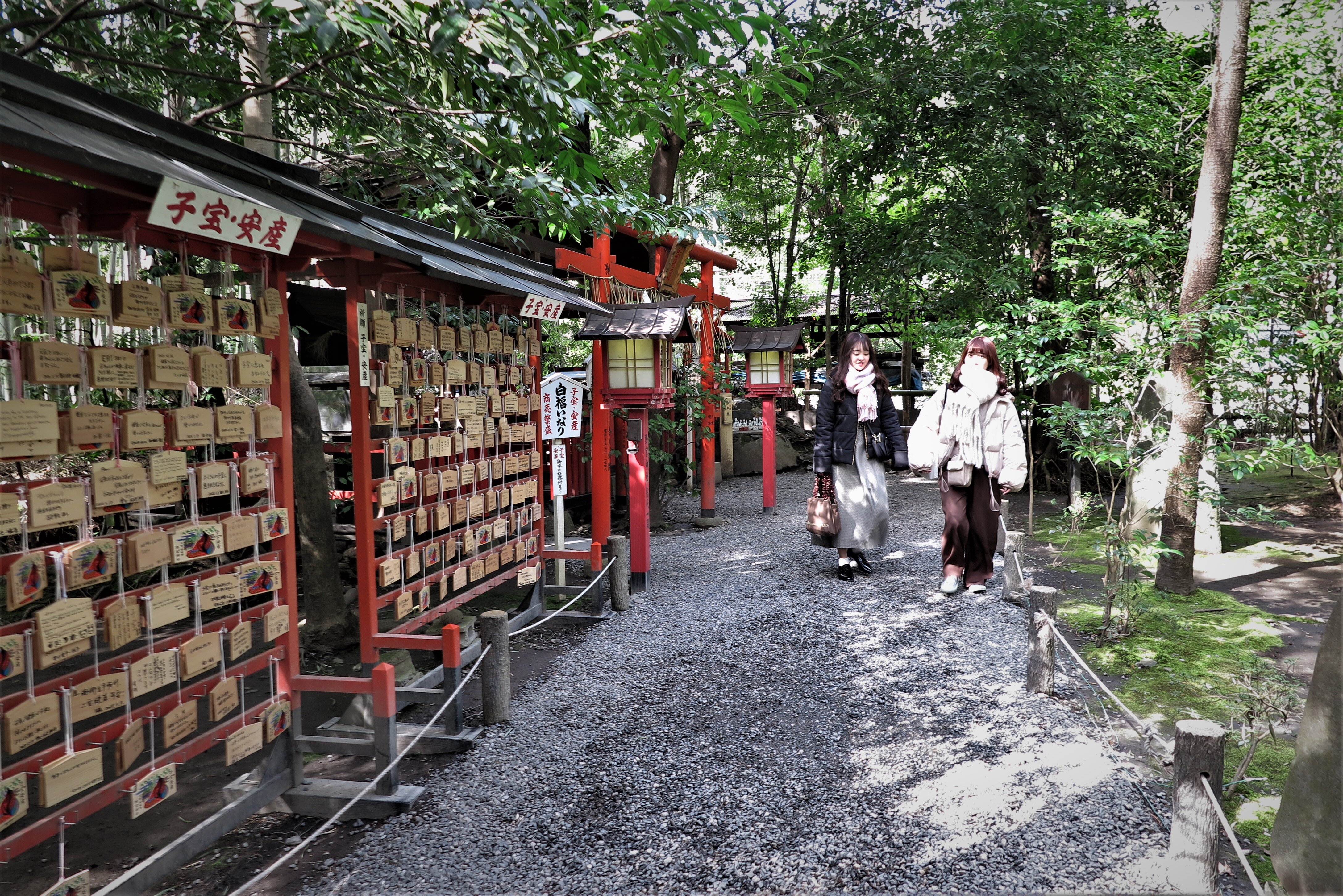 写真日々（5）-29- : 写真日々