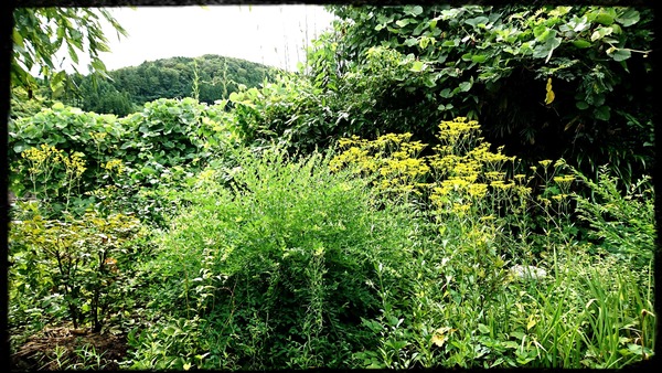 _20190816_094720