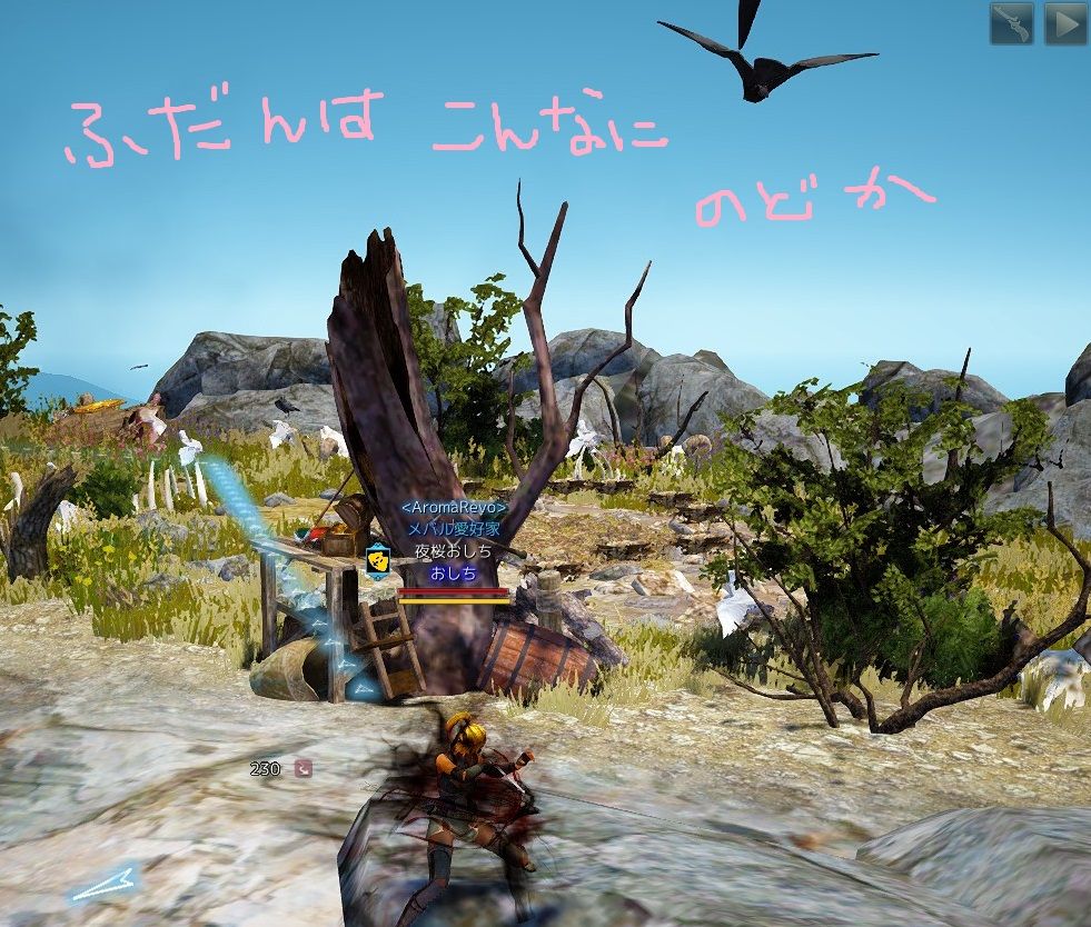 黒い砂漠 カランダに会いにいってきた I Hunted Karanda 黒い砂漠c鯖 おしちのブログ