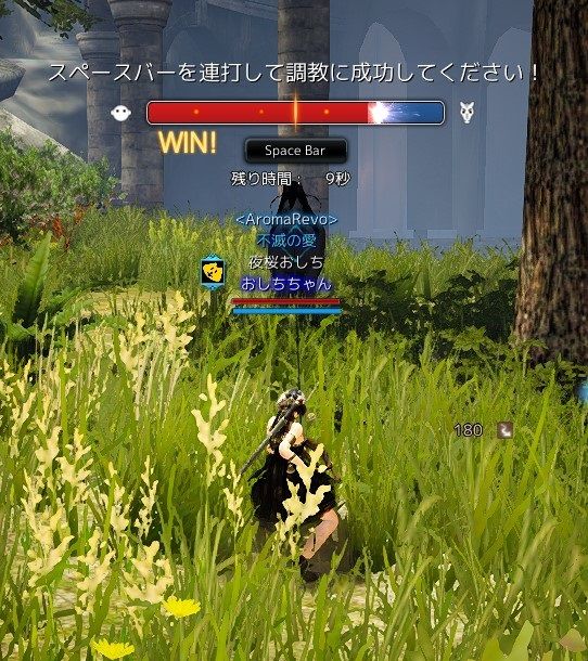 黒い砂漠 久しぶりに野生の馬を捕まえてみた 黒い砂漠c鯖 おしちのブログ 黒い砂漠 久しぶりに野生の馬を捕まえてみた 黒い砂漠c鯖 おしちのブログ
