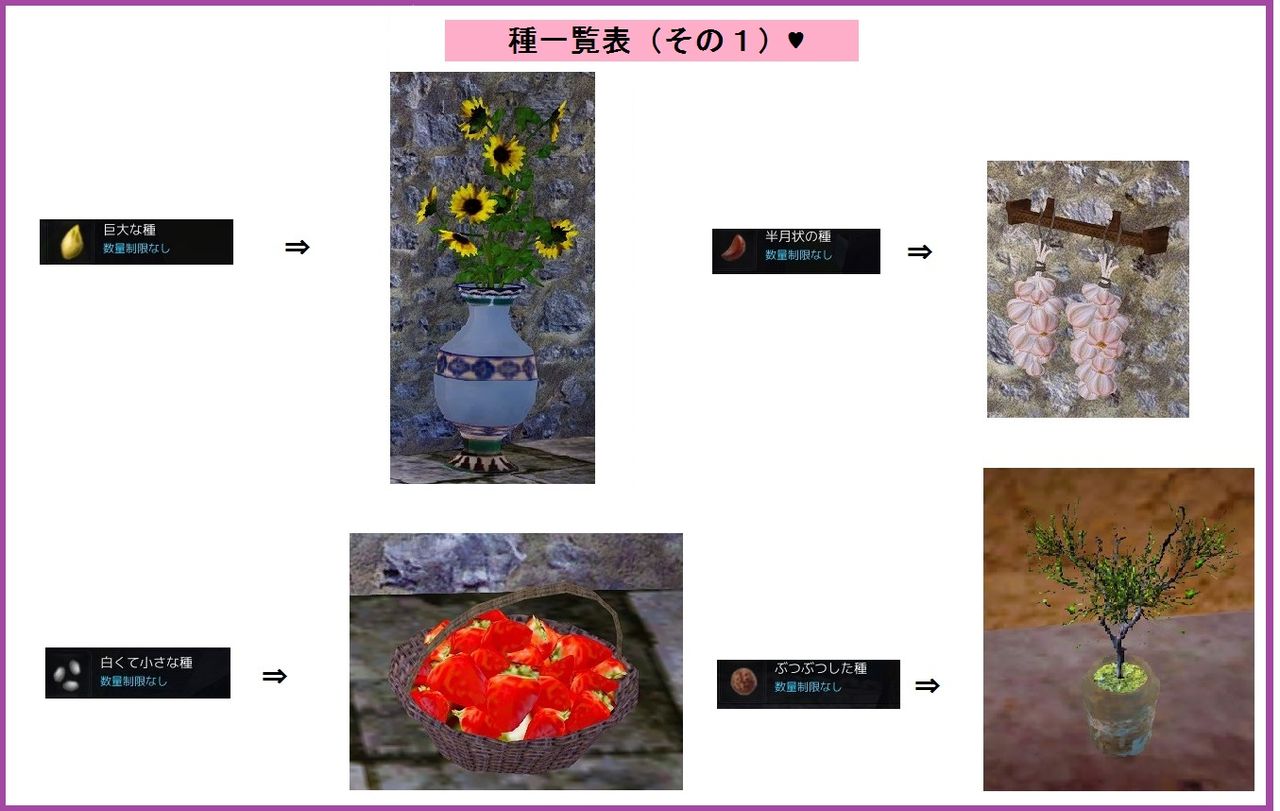 黒い砂漠 種子商人さん紹介します ハウジングhousing 家具の種 黒い砂漠c鯖 おしちのブログ