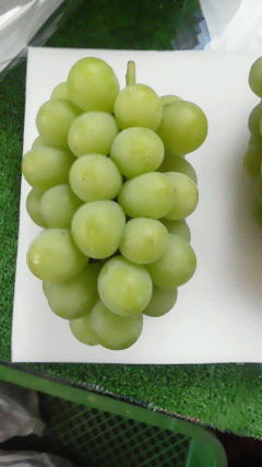 201209121517000
