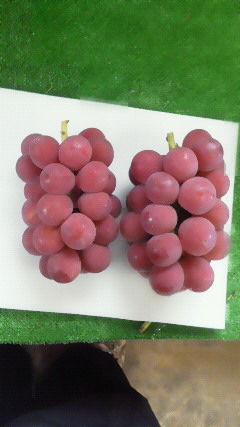 201209191007000