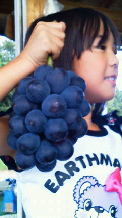 201209011647000