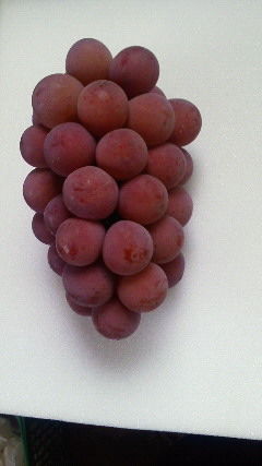 201209241441001