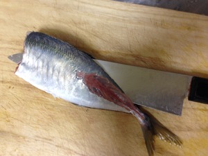 アジフライのレシピ、その4