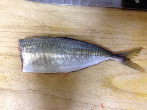 アジフライのレシピ、その1