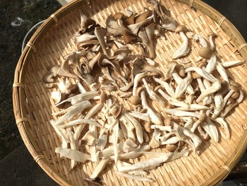 きのこの炊き込みご飯のレシピ、その2