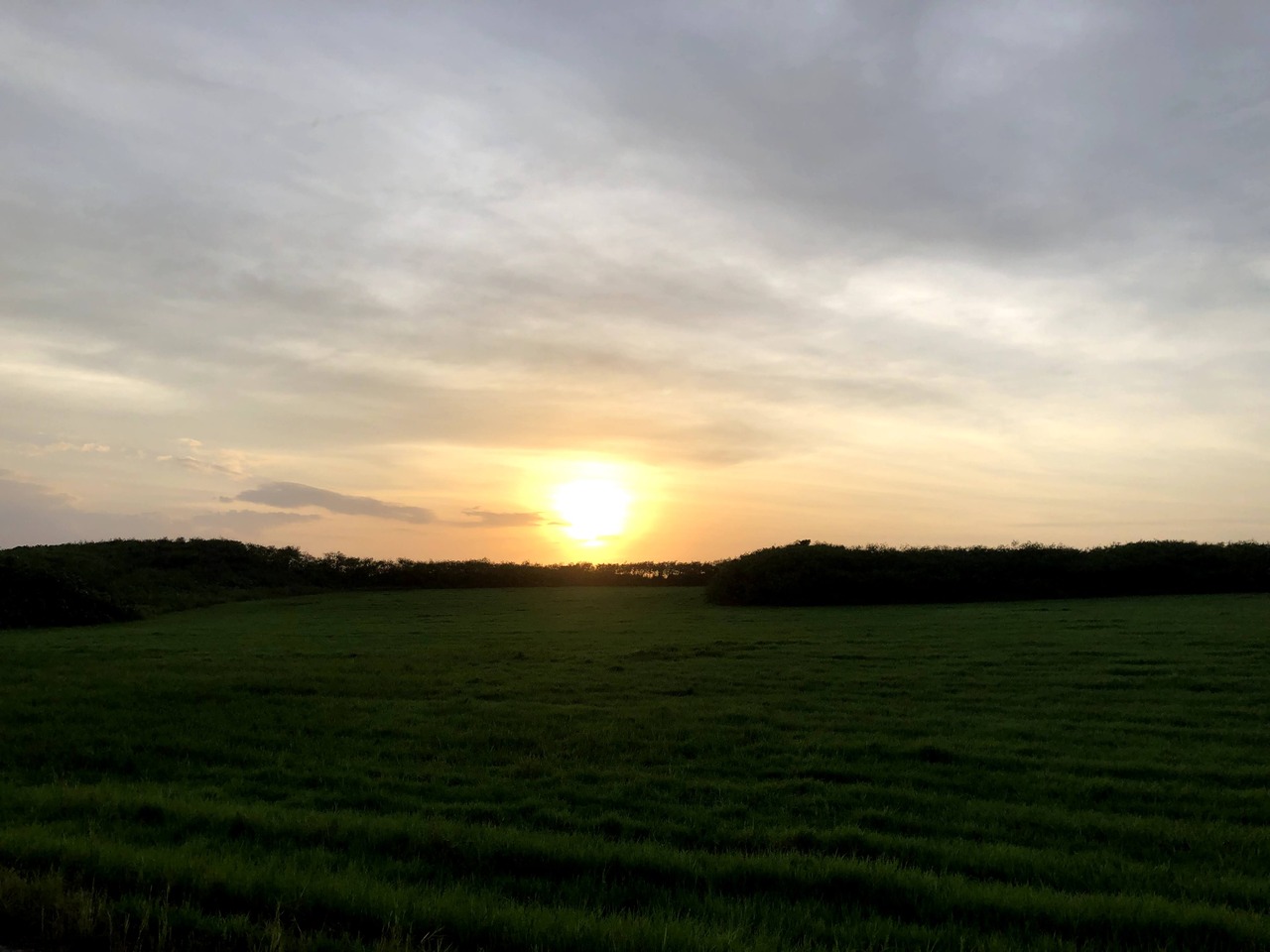 IMG_6374