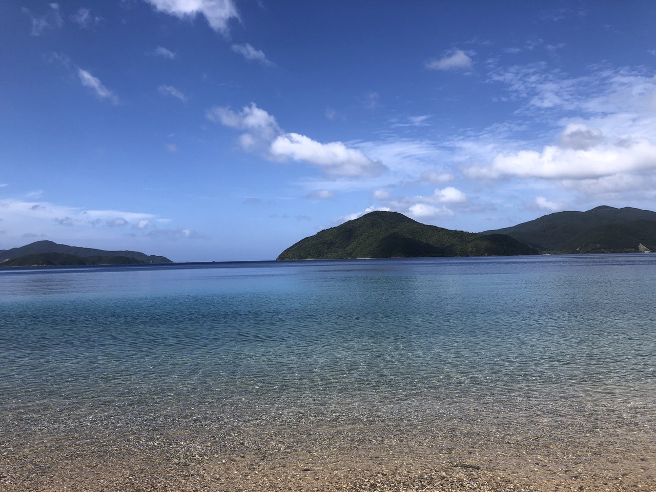 1BB121B7-E83C-4482-A2BB-5D7157566794