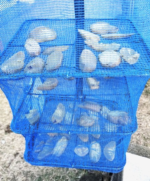 IMG_2928