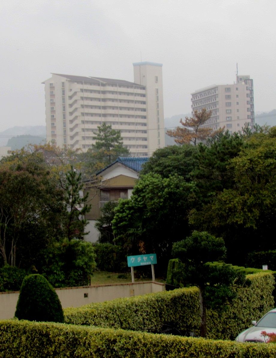 イメージ 2