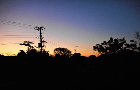 DSCN2303
