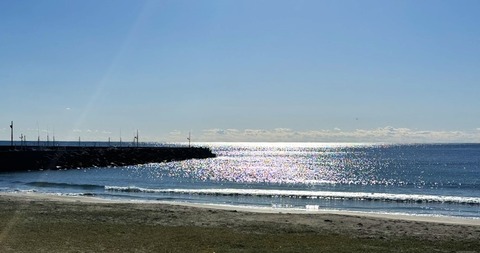 IMG_1795