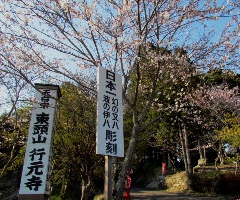 イメージ 3