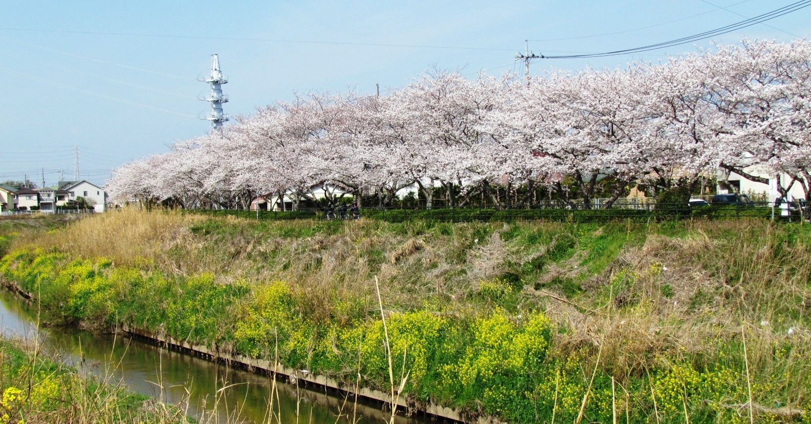 イメージ 1